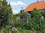 Třibřichy